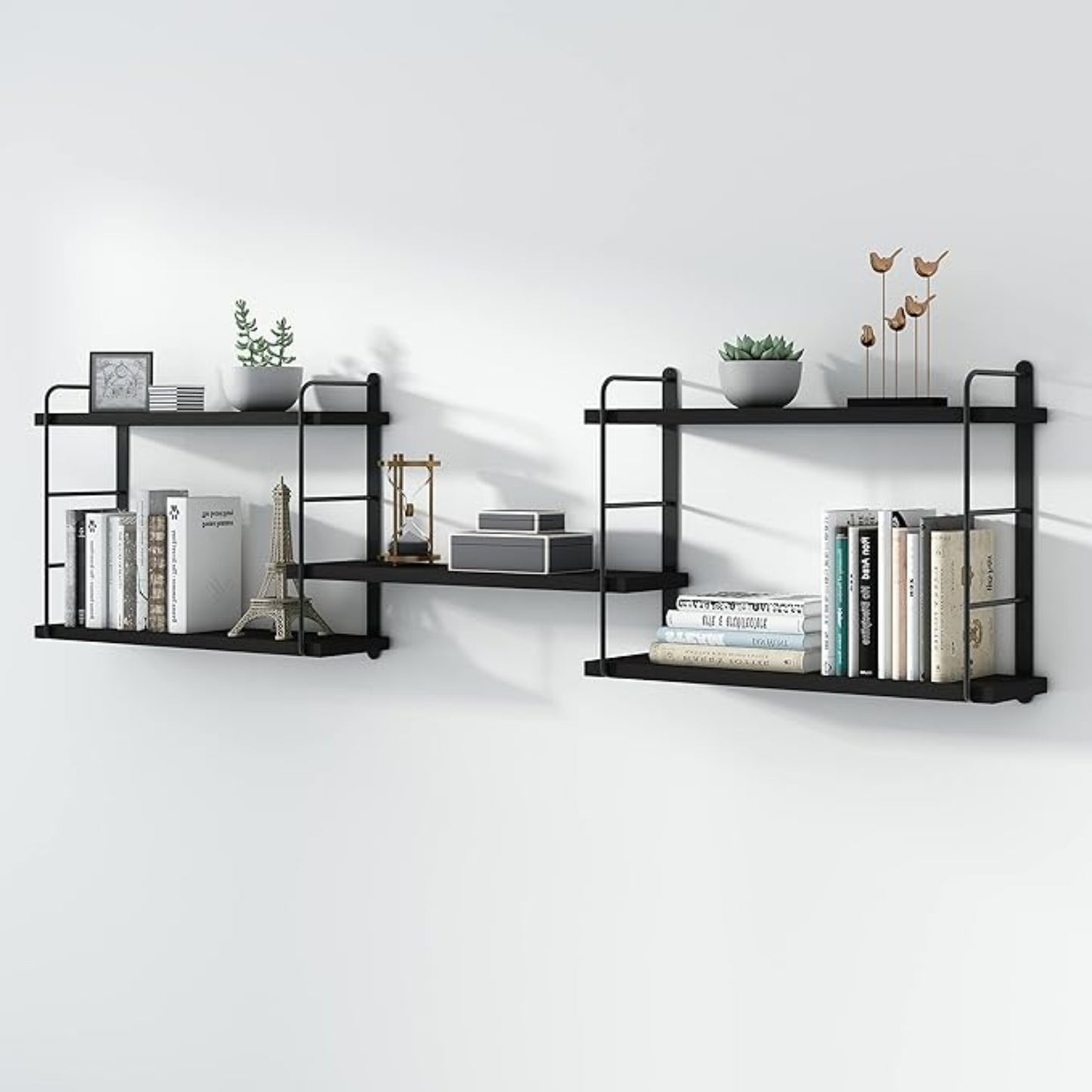 Black wall-mounted shelves with books, decor items, and plants on a white background